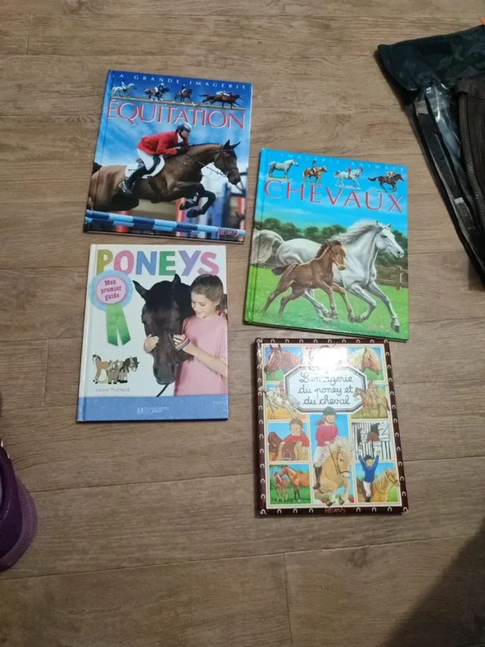 Livres thème equitation