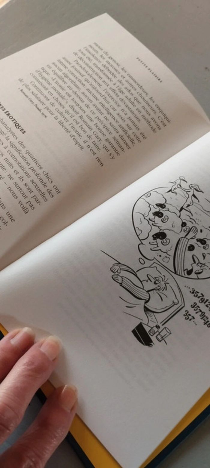 Le livre des petits plaisirs coupables - photo numéro 7