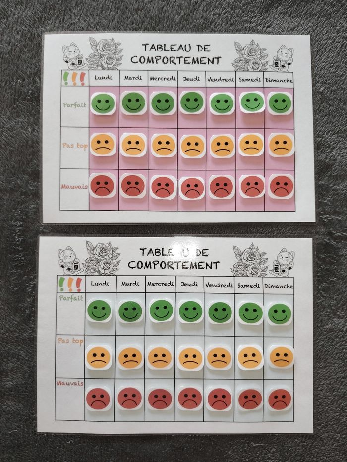 2 fiches comportement