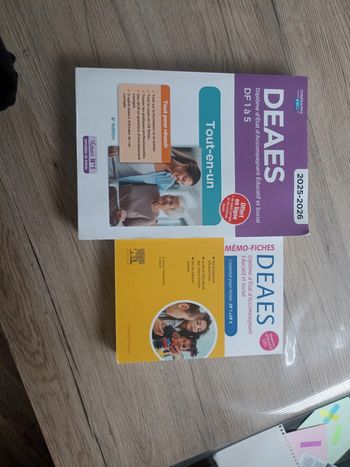 Diplôme d'état d'accompagnant éducatif et social
