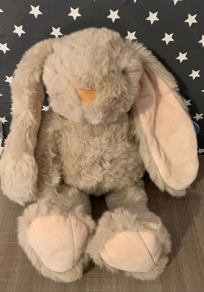 ⭐️Lapin personnalisée ⭐️ - photo numéro 5