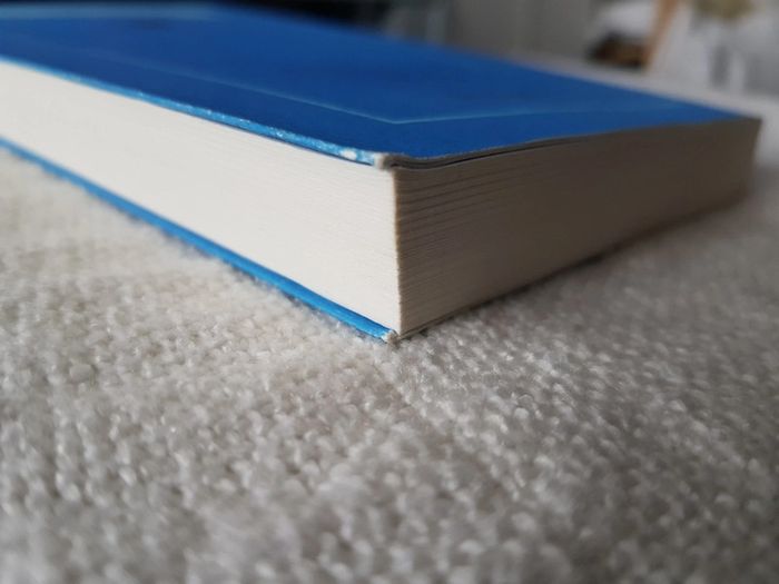 Livre Un fils exemplaire d Angela Huth - photo numéro 5