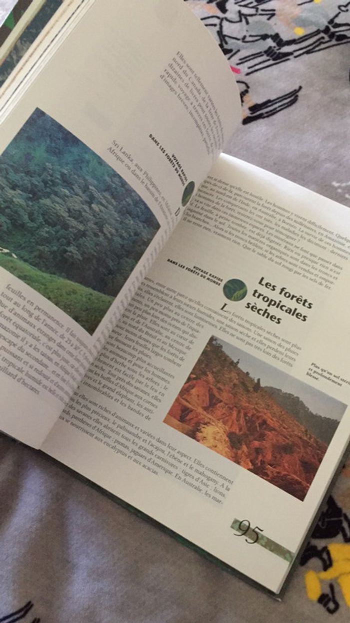 Les Forêts - photo numéro 10