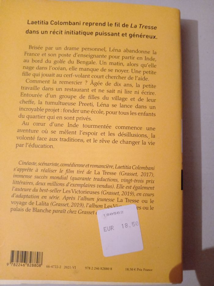 Le cerf-volant - photo numéro 2