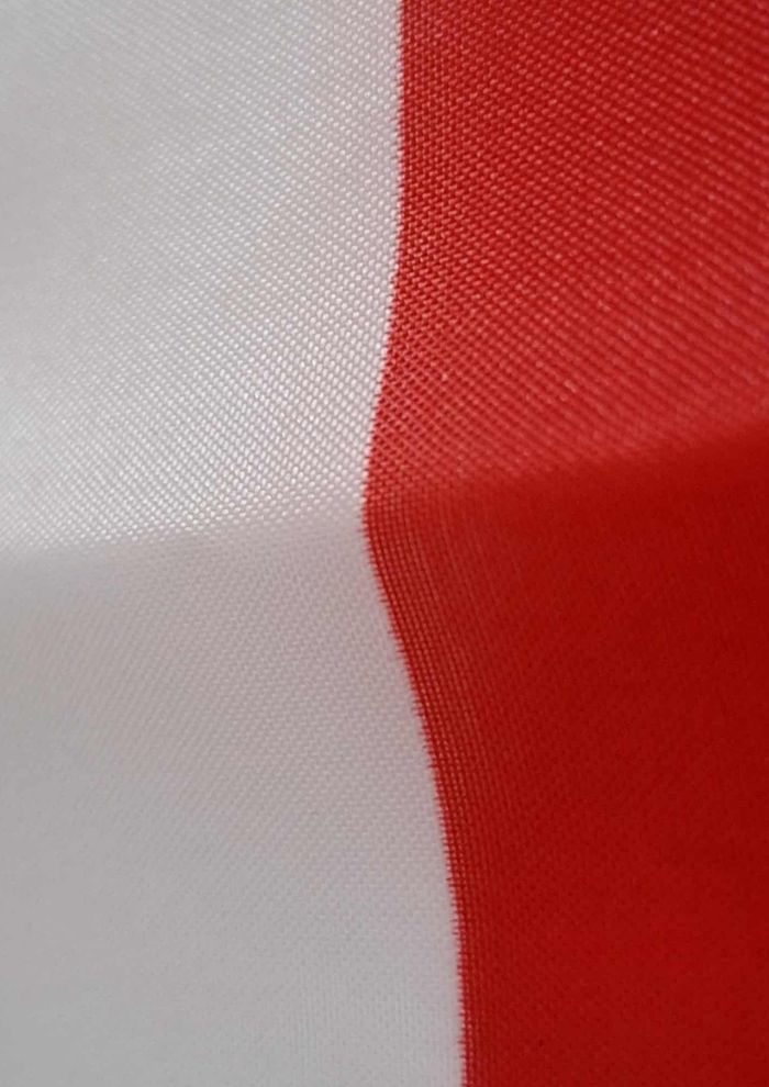 Pack Drapeaux France 1 Grand Format + 2 Mini Drapeaux à Main - photo numéro 5