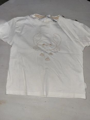 Tee shirt MC 24 mois