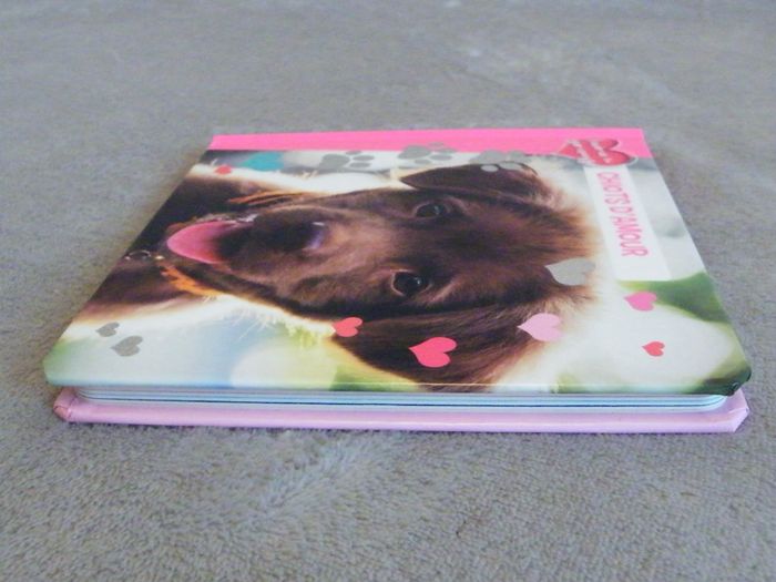 Livre tout carton "Chiots d'amour" J'aime ta frimousse Crackboom - photo numéro 5