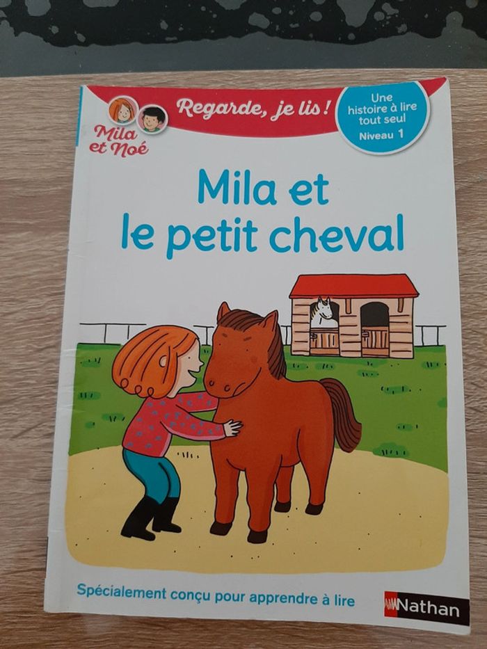 Milan et le petit cheval