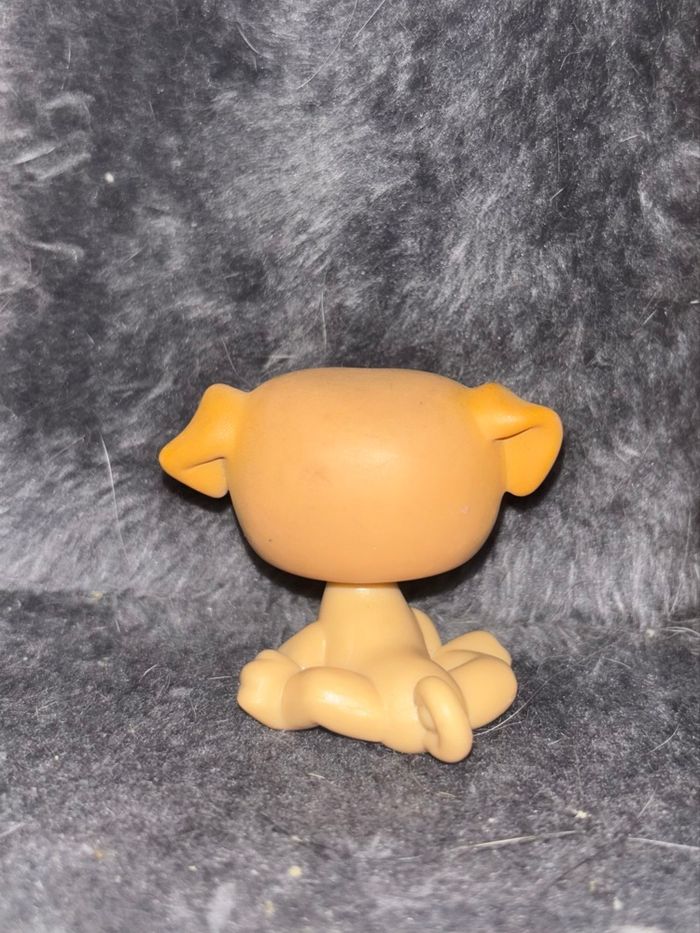 pug #2 - photo numéro 2