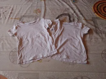 Lot 2 tee shirts 2/3 ans