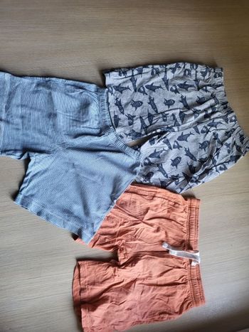 Lot 3 shorts