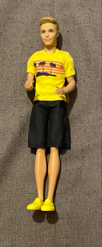 Barbie Ken Fashionista 
