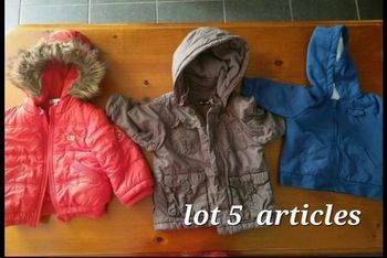 Lot vestes 18 mois