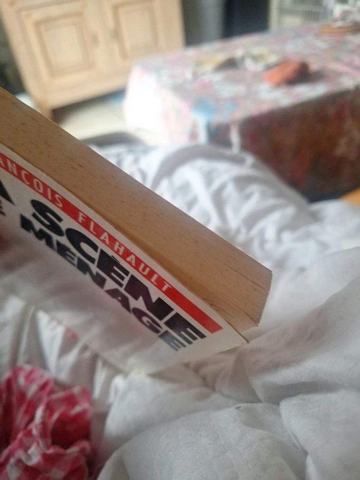 Livre la scène de ménage - photo numéro 4