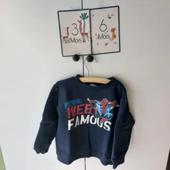 Sweat Spiderman 3 ans