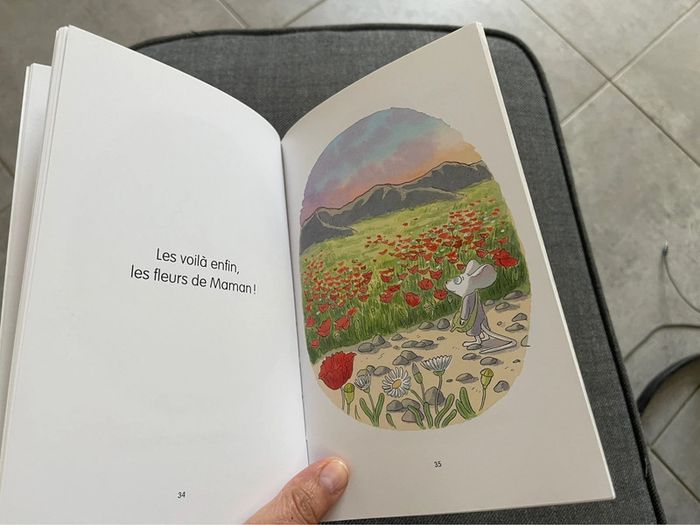 Sidonie Souris de Clotilde Delacroix - photo numéro 3