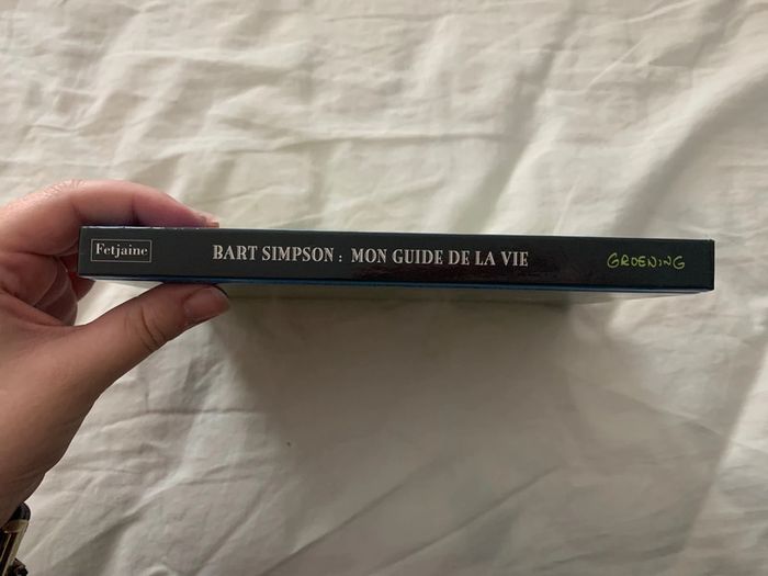 Bart simpsons Mon guide de la vie - photo numéro 6