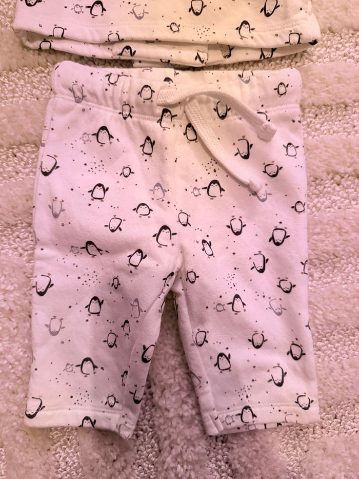 Ensemble pingouin La redoute 1 mois - photo numéro 6