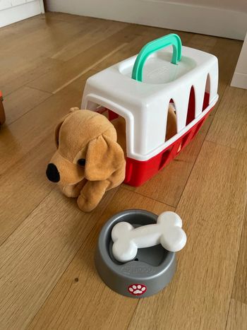 Chien dans sa niche