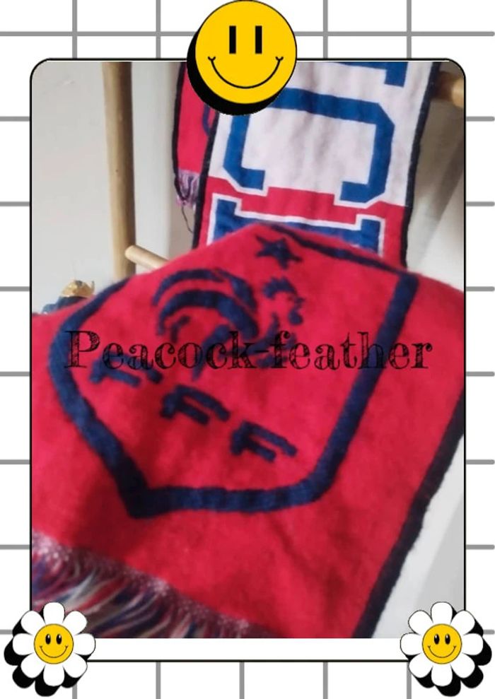 Écharpe France foot FFF - photo numéro 4