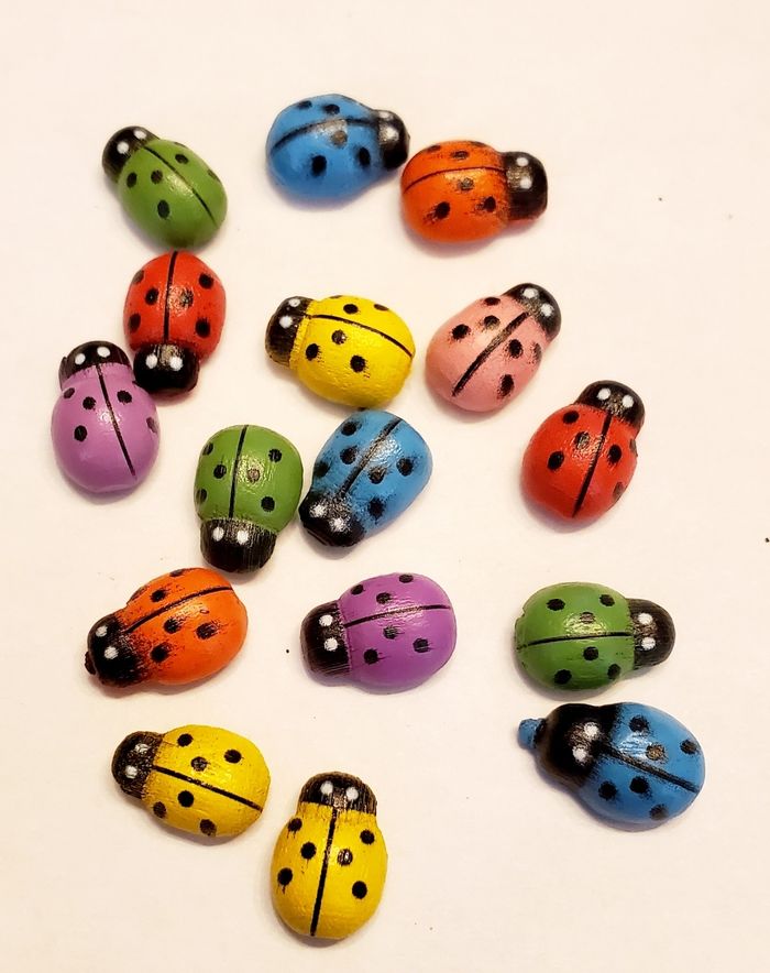 16 Coccinelles en bois - photo numéro 3