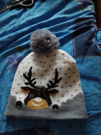 Bonnet renne et neige