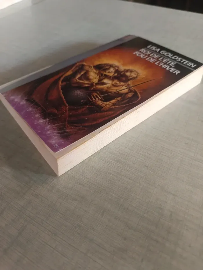 Livre roi de l'été fou de l'hiver - photo numéro 3