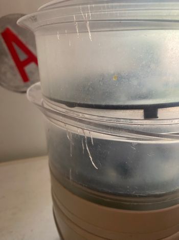 Robot multifonctions Babymoov