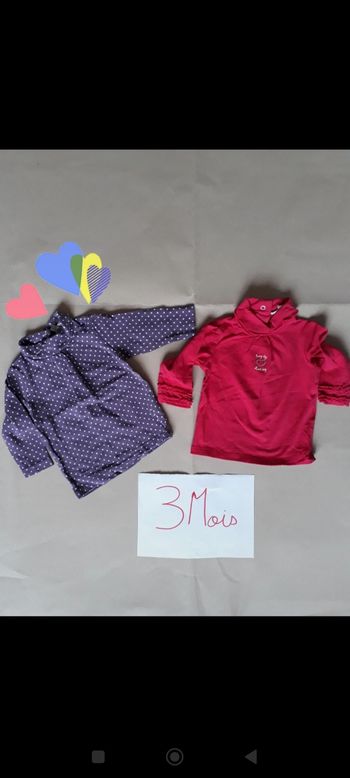 Lot 2 t-shirts ML 3 mois