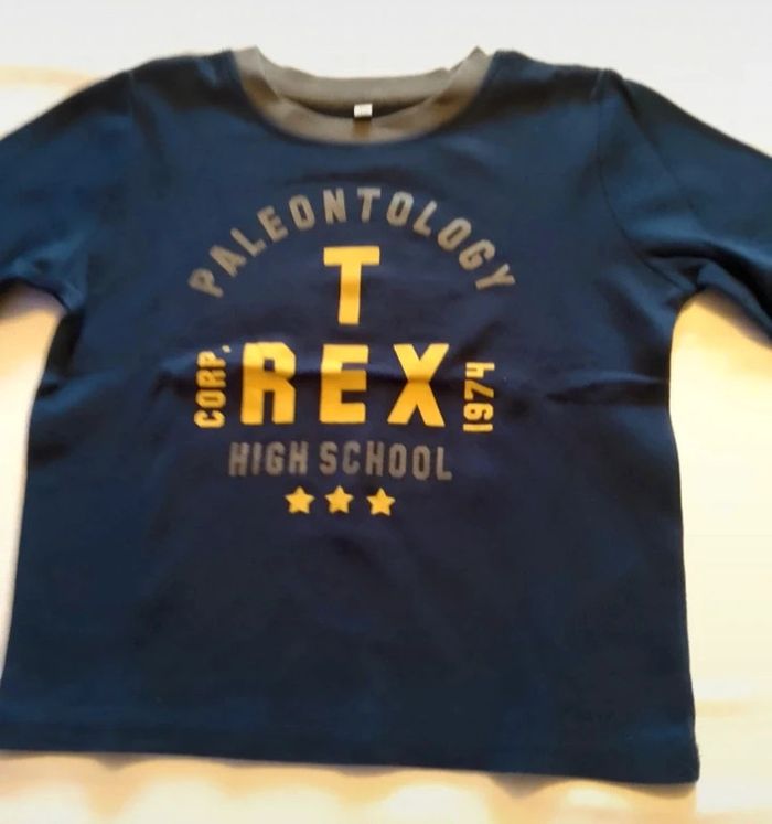 Tee-shirt T rex - photo numéro 2