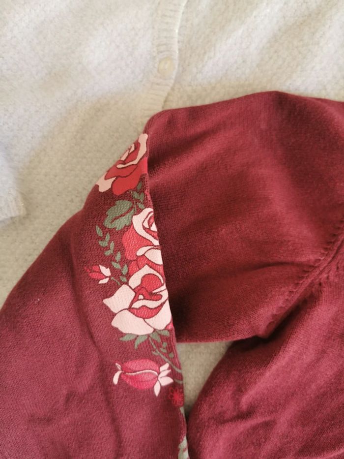 Lot 2 gilets - photo numéro 3