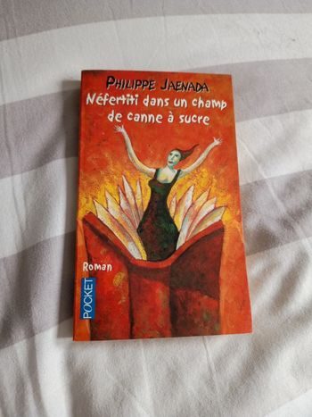 Philippe jaenada Néfertiti dans un champ de canne à sucre