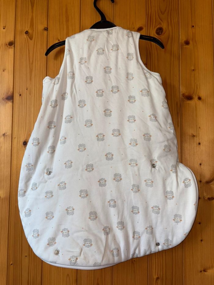 Gigoteuse - photo numéro 2