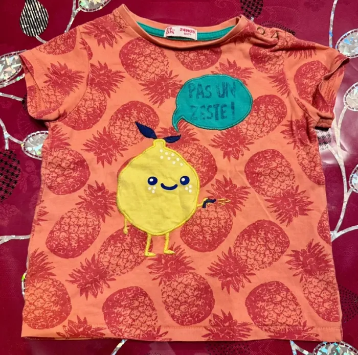 T-shirt 24 mois garçon Du pareil au même