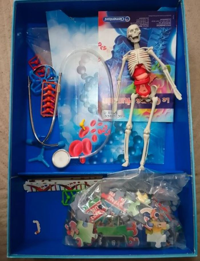 Jeux Le corps Humain De Science Est Jeux - photo numéro 3