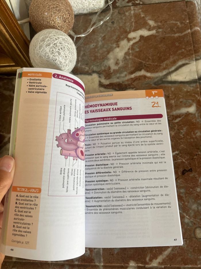 Livre révisons bac st2s - photo numéro 3