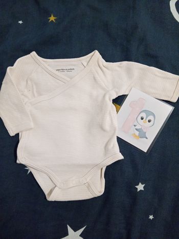 Bodie a rayures _ 1 mois