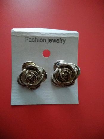 Boucles d'oreilles argentées