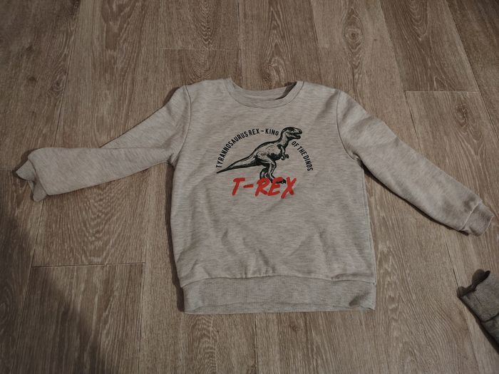 Lot pull Zara garcon - photo numéro 13