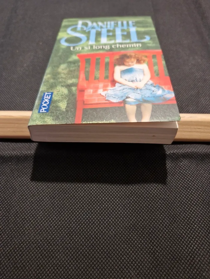 Un si long chemin - Danielle Steel - photo numéro 2