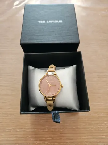 Montre ted lapidus