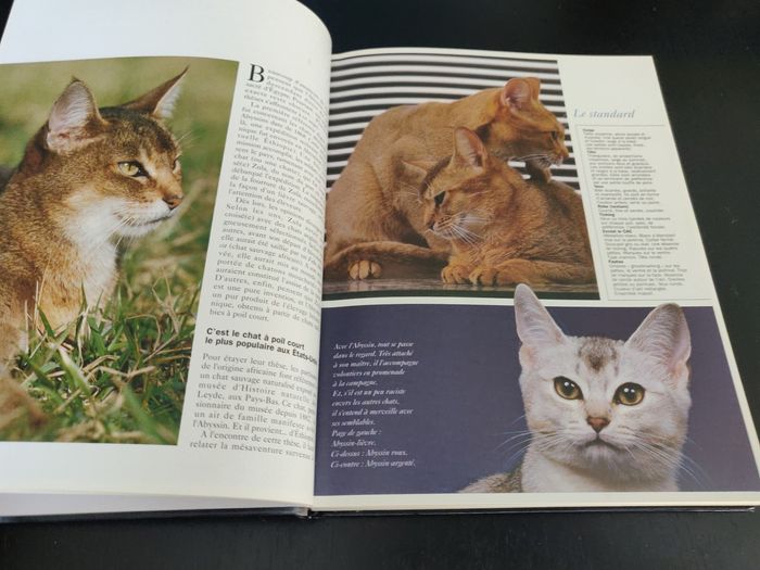 Livre 238 pages - Les chats de Race - photo numéro 7