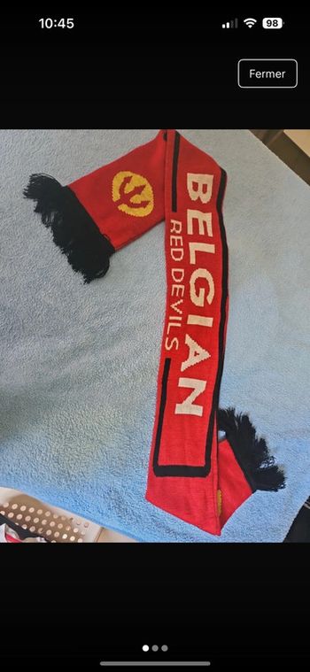 Écharpe de la Belgique