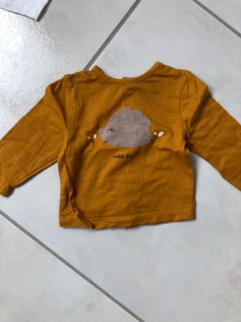 Tee-shirts