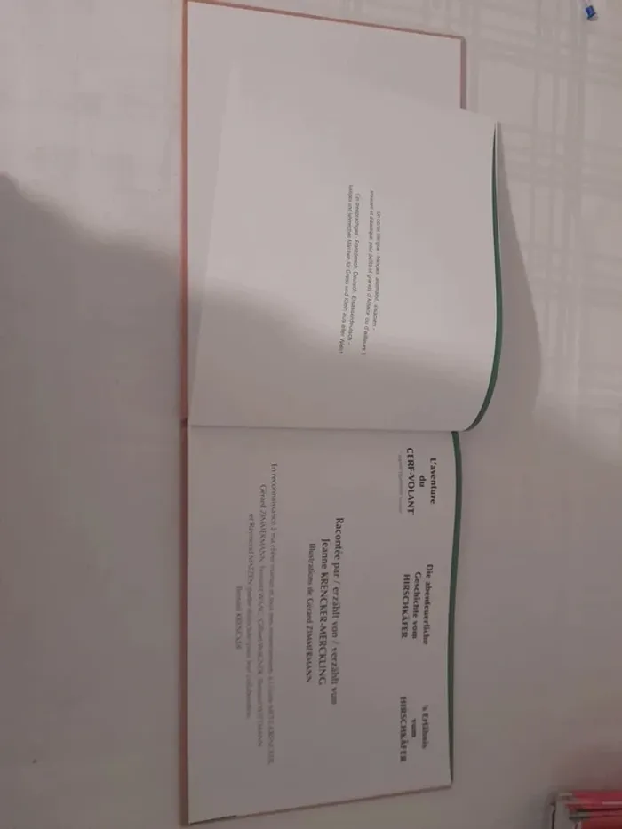 Livre trilingue français/allemand/alsacien l aventure du cerf volant - photo numéro 11