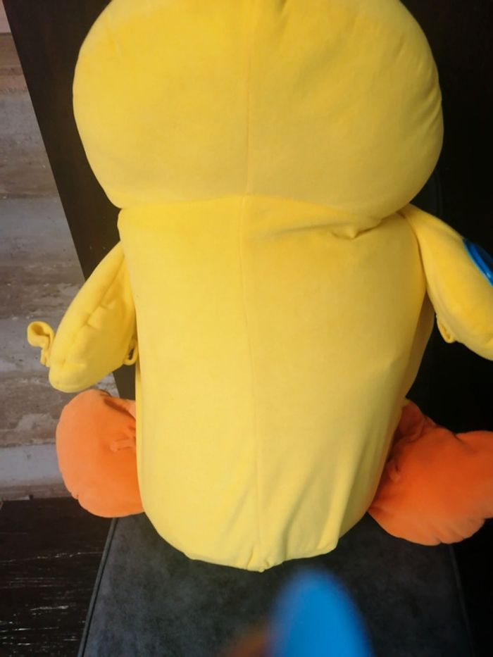 Gros canard - photo numéro 2