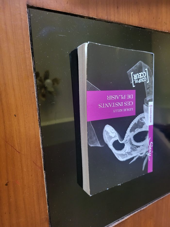 Livre 📖 ces instants de plaisir - photo numéro 2