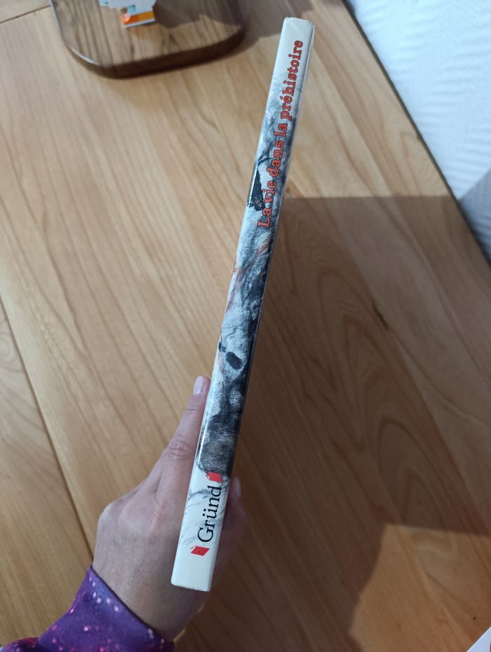 La vie dans la préhistoire - photo numéro 2