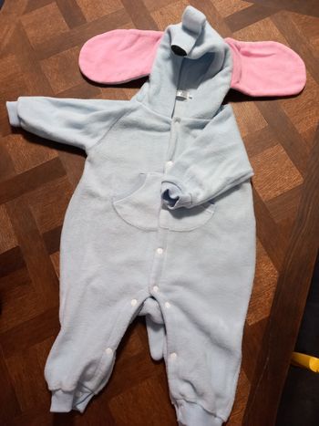 Éléphant