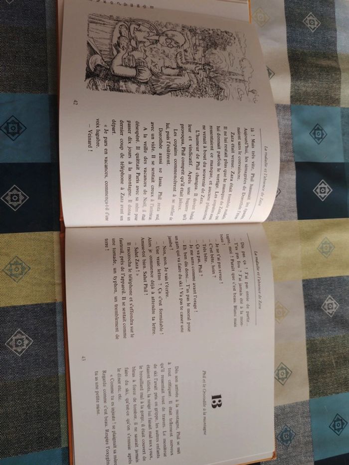 Livre sur le crocodile - photo numéro 12